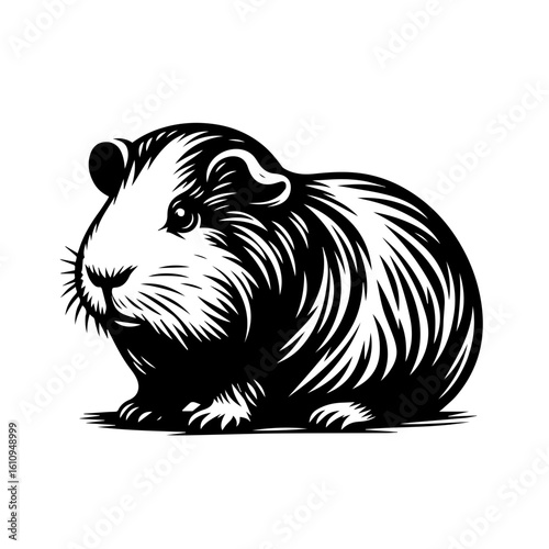 A charming illustration of a guinea pig