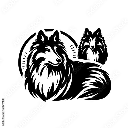 A striking black and white illustration of a shetland sheepdog