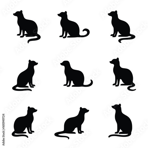 Silhouette Illustration Of Various Camel Breeds Walking Across A White Desert Like Background