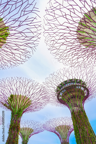 View of the several tree-like vertical gardens in the Gardens by the Bay in Singapore.