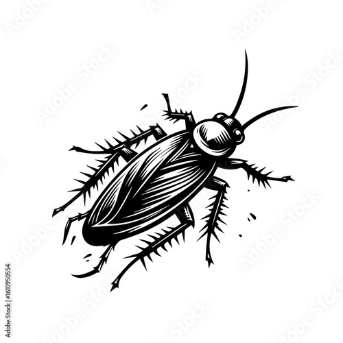 A detailed illustration of a cockroach isolated on white