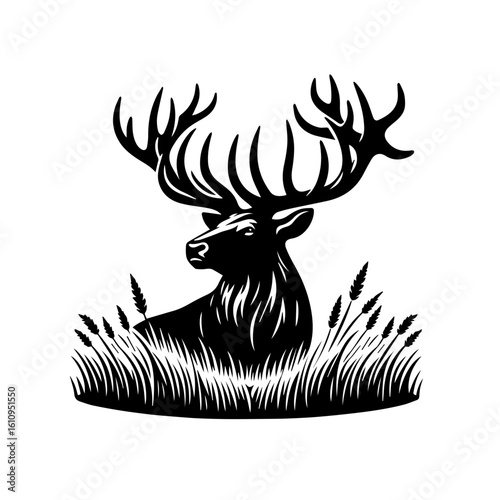 A majestic stag with large antlers in tall grass