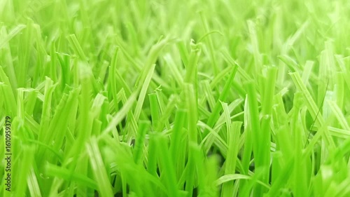 A dynamic of artificial grass in motion, highlighting the lifelike movement and vibrant green texture of the synthetic turf