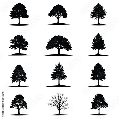 Stylized Ash Tree Silhouette Stands Boldly Against A Stark White Backdrop Creating Contrast