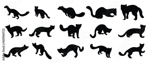 vector illustration of silhouettes of pine marten animal set 
