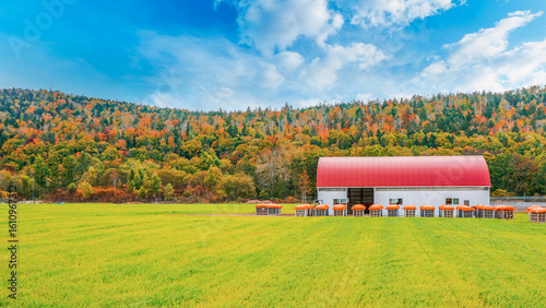 A vibrant autumn scene of a red-roofed barn surrounded by colorful foliage and lush green pasture in Biei, Hokkaido, Japan. A perfect rural landscape during fall.