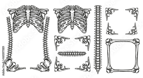 Skeleton Frame Gothic Bones Anatomy Art.