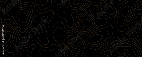 Black background with flowing gold contour lines abstract