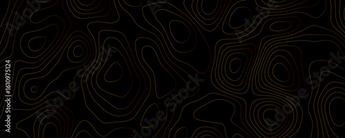 Abstract topographic map contour lines gold on black
