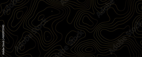 Black background with gold contour lines abstract