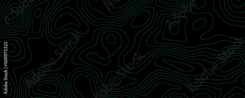 Teal topographic contour lines on black background