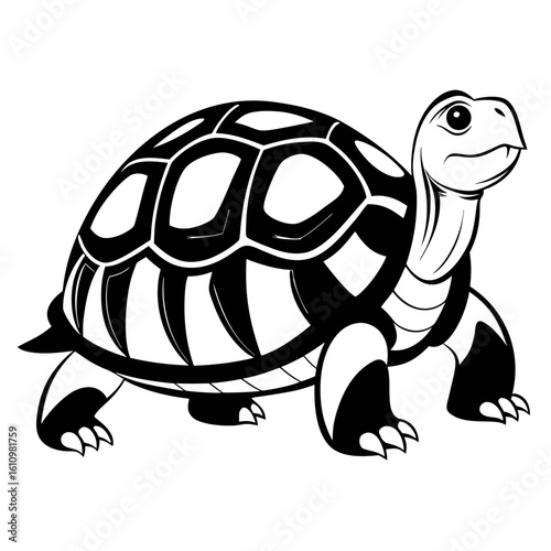  tortoise silhouette
