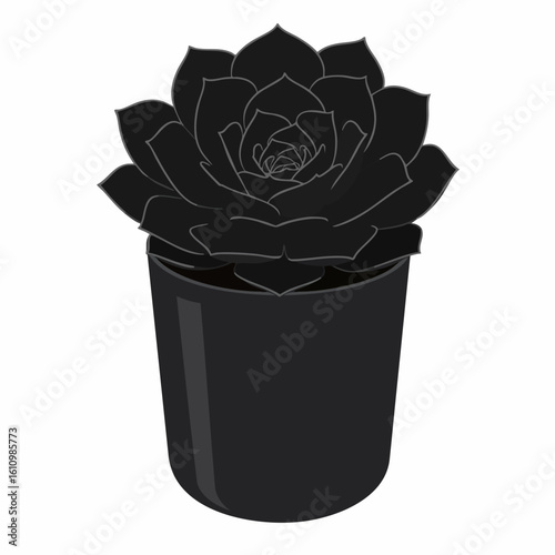 Black Succulent in a Dark Pot: Monochromatic Botanical Illustration