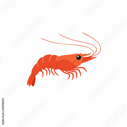 Vibrant Red Shrimp Illustration, Detailed Aquatic Creature