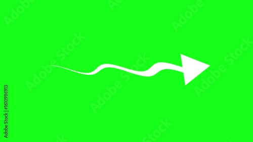Animated arrow with a wavy tail on a green screen background, ideal for motion graphics and visual effects.