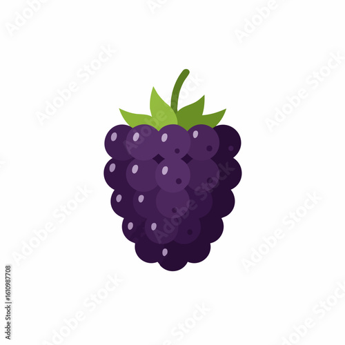 Single Ripe Blackberry with Green Leaves Illustration