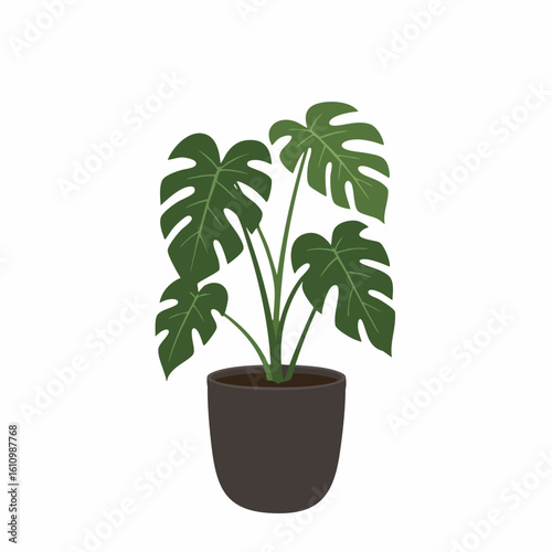 Stylized Monstera Deliciosa Plant with Split Leaves in a Dark Pot