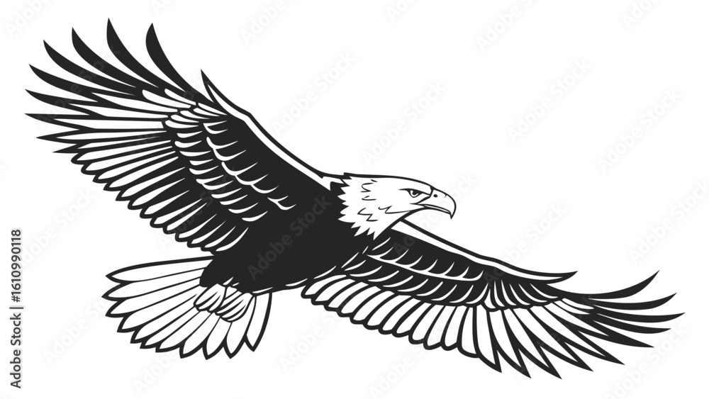 Obraz premium eagle vector illustration