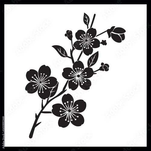 Cherry blossom vector, nature
