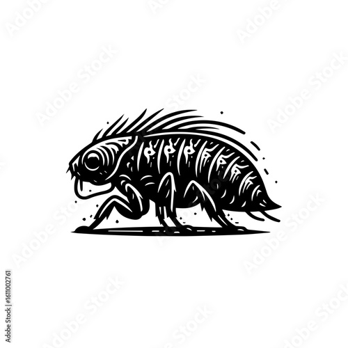 A detailed black and white illustration of a flea