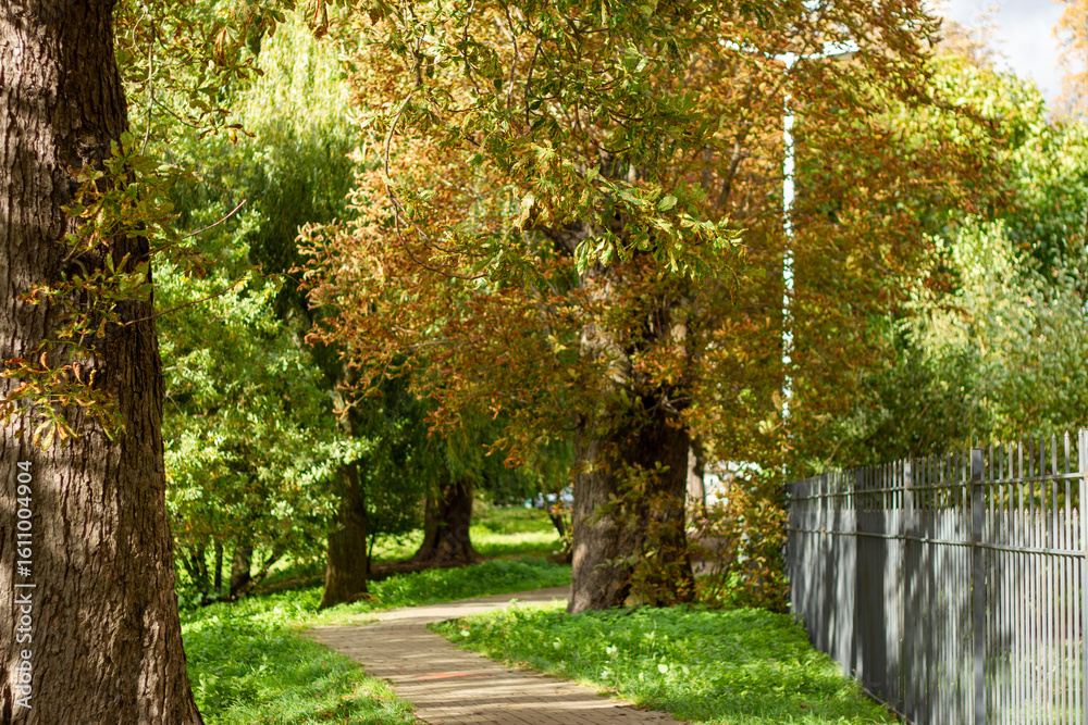 Naklejka premium Curved walking path in city park surrounded by green and autumn trees with metal fence on the side