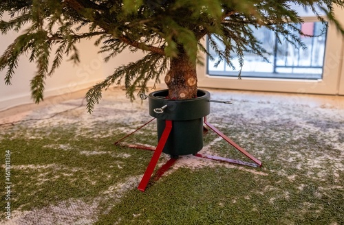 Dry Christmas tree in stand with fallen needles on carpet indoors after holidays
