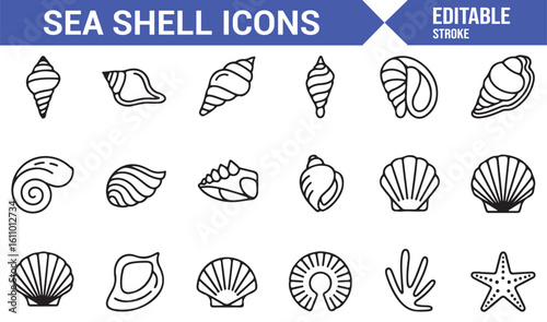 Photos Various Sea Shell Icons for Ocean, Marine, and Beach Life