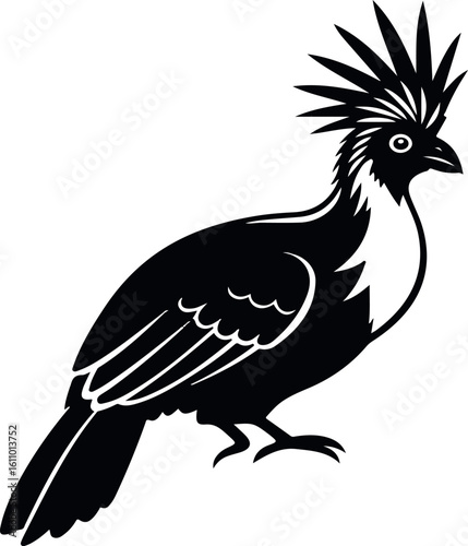 hoatzin bird isolated on white background exotic tropical Amazon rainforest bird for wildlife and nature illustration