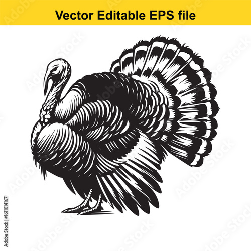 A turkey stands on a white background