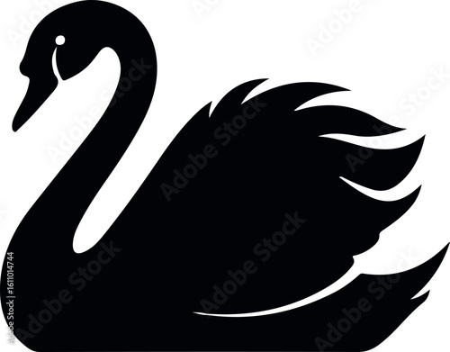 swan bird isolated on white background elegant waterfowl for wildlife and nature illustration