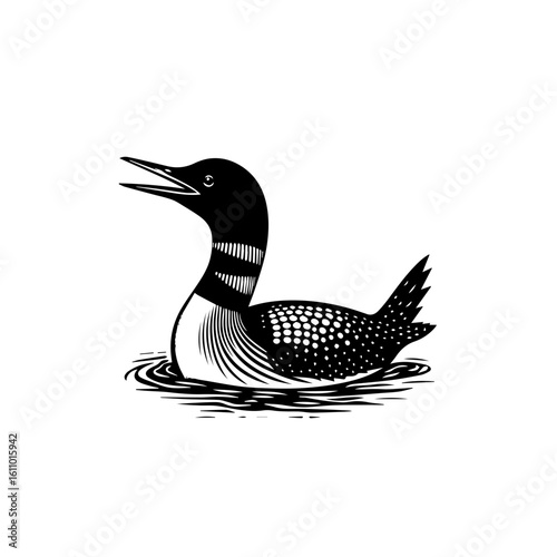 A loon swims in the water with its beak open