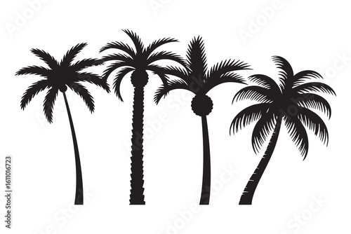 Black palm trees silhouette tropical foliage vector