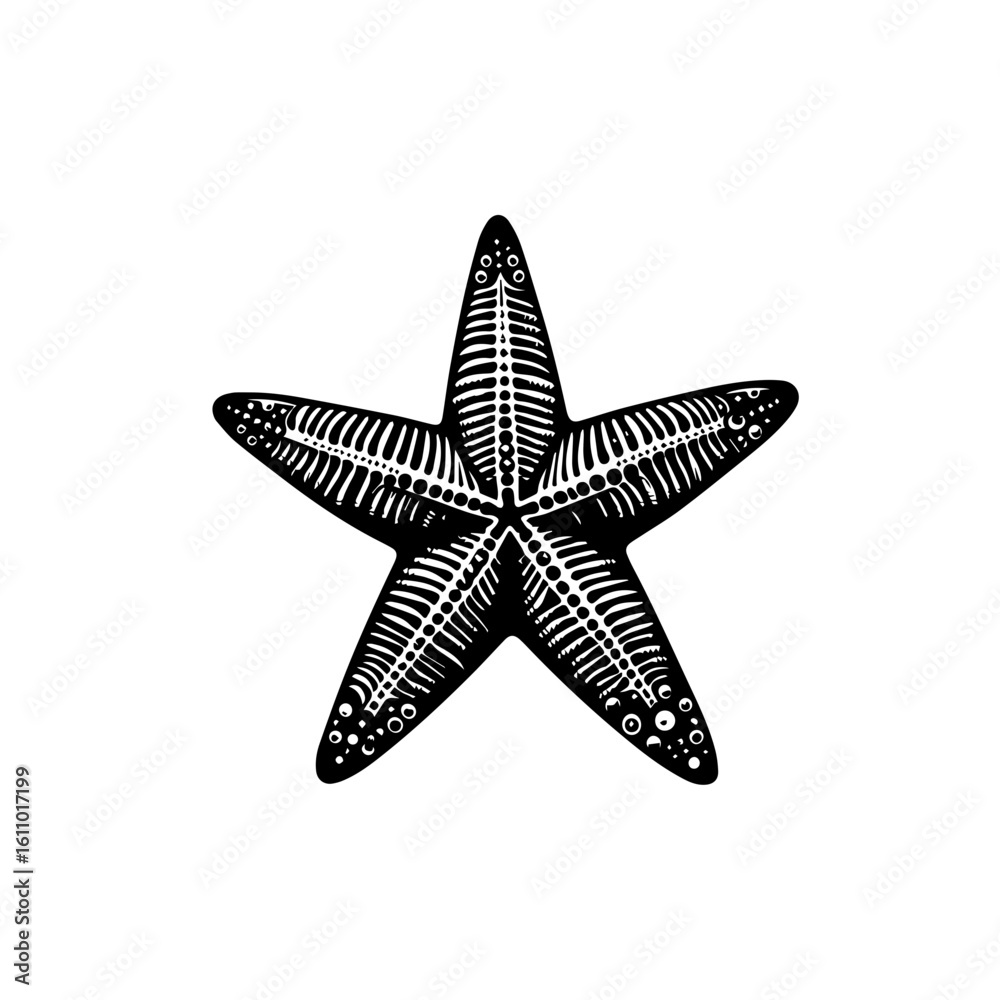 Fototapeta premium Starfish isolated on white background