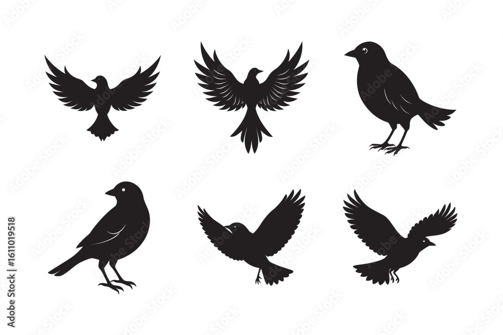 Obraz premium silhouette bird flying with wings spread set bundle on the white background