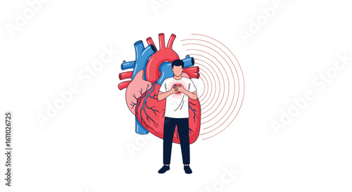 Understanding the human heart a vital organ responsible for circulating blood throughout the body