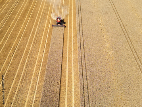 Aerial View of Harvester Working in Golden Wheat Field During Harvest Season