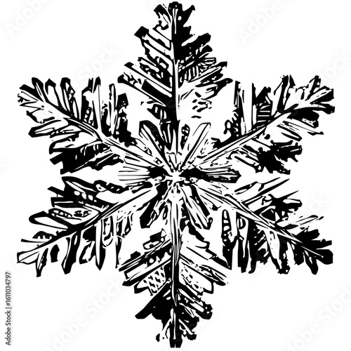 Vector Intricate snowflake showcases detailed crystalline structure.