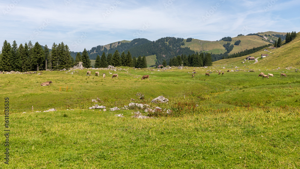 Fototapeta premium A beautiful panorama in switzerland in Krummenau in Switzerland on july 20th 2025