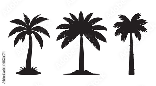 Tropical Palm Tree Silhouette Vector Isolated on White background