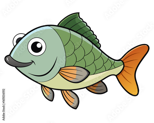 Tilapia on background white