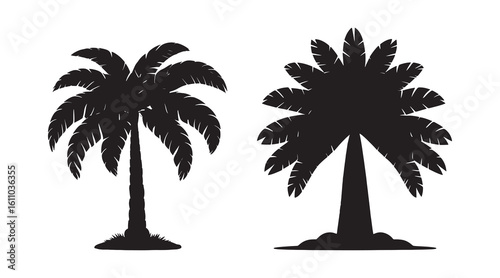 Tropical Palm Tree Silhouette Vector Isolated on White background