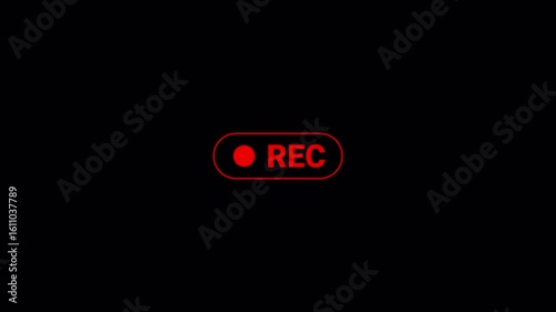 Animation of recording button with transparent background, 4k simple recording icon animatione with alpha channel.	 
