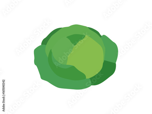 Fresh Green Cabbage Flat Design, Minimalist Vegetable Icon: Cabbage