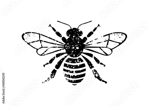 Vector Detailed black insect with striped abdomen and spread wings.