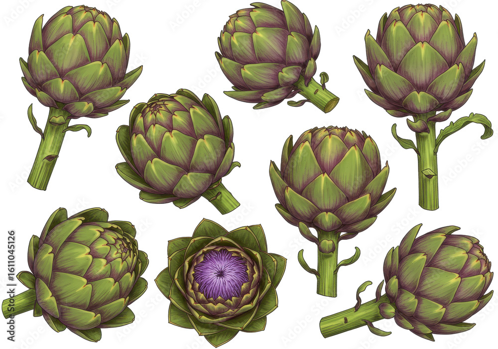 Obraz premium A vibrant collection of artichokes displayed artistically on a white background