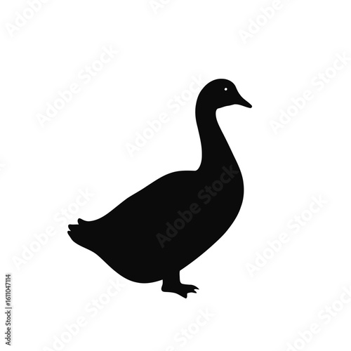 A black waterfowl silhouette, isolated on white, depicts a wild duck or goose in nature