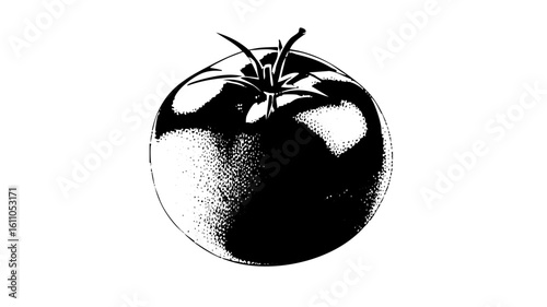 Vector Detailed vector of a ripe tomato with stem.