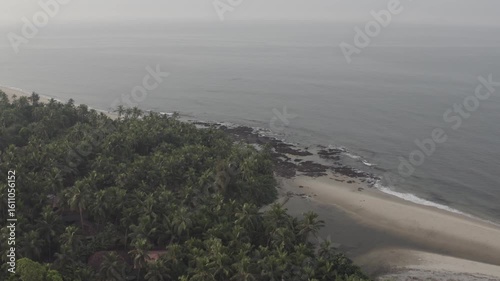 Aerial View of Goa Beach with Coconut Trees, Crashing Waves and Coastline