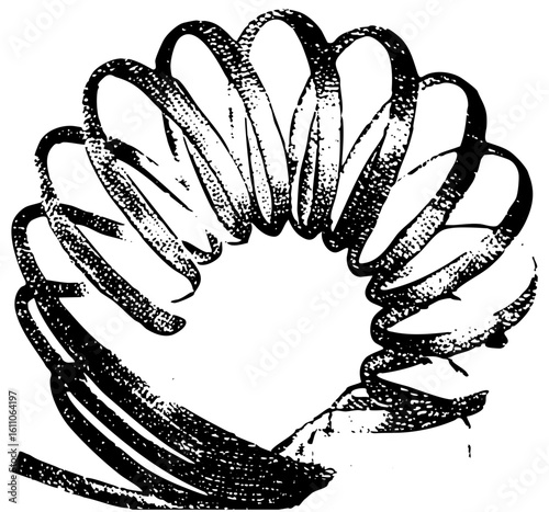 Vector Detailed of a nautilus with spiraling chambers.