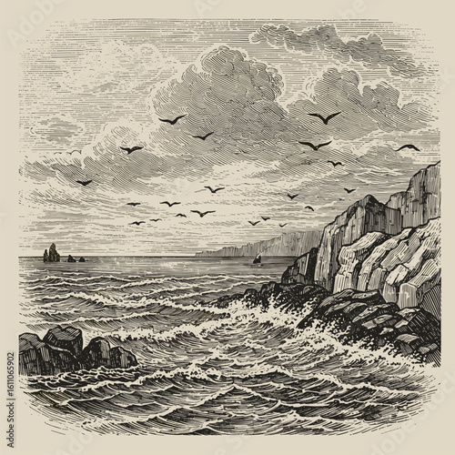 Dramatic Seascape with Rocky Coastline and Flocking Birds - Vintage Engraving